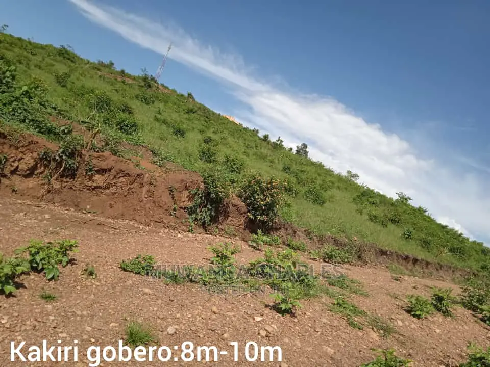Plot's Is Available for Sale in Wakiso in Kampala