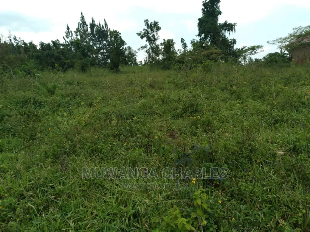 4acre's Is Available for Sale in Kiwenda in Luwero / Luwero