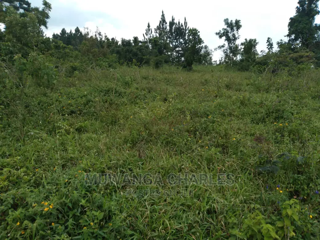 4acre's Is Available for Sale in Kiwenda in Luwero / Luwero