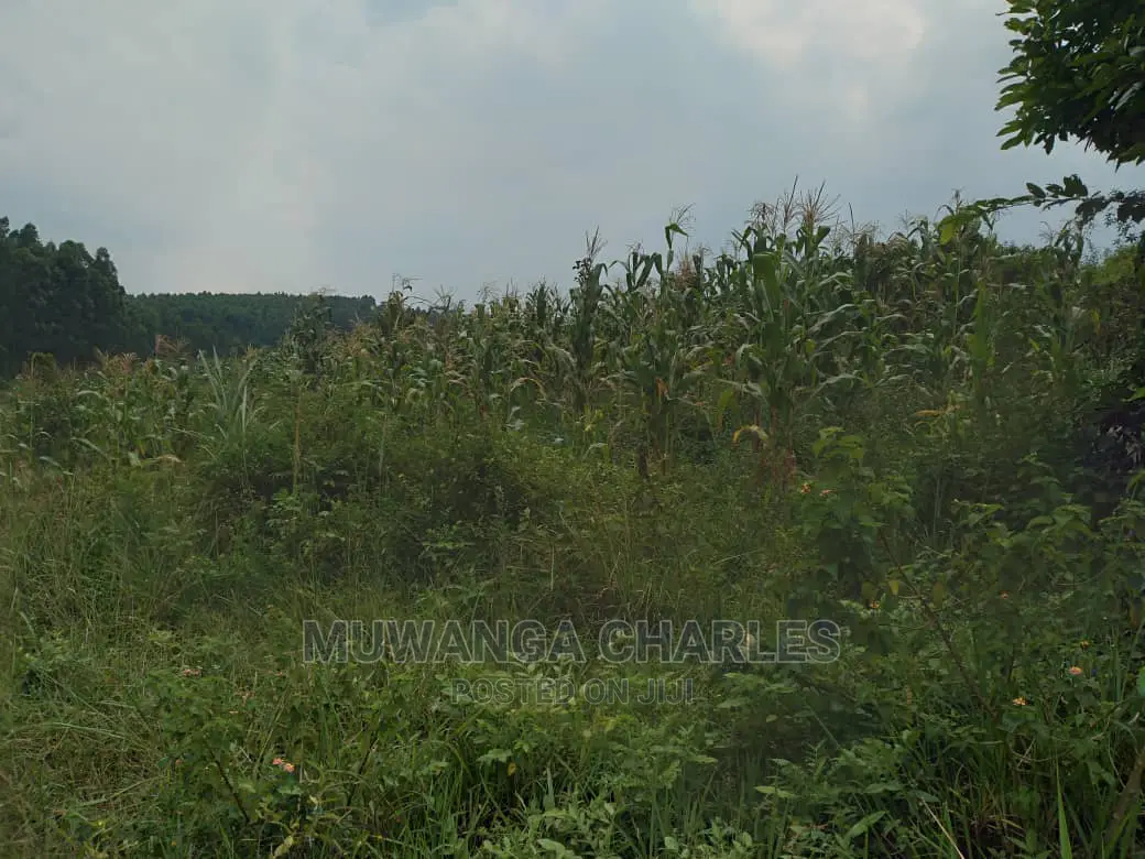 20acre's Is Available for Sale in Zirobwe in Luweero