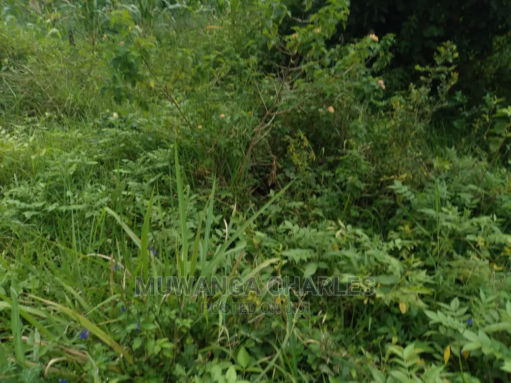 20acre's Is Available for Sale in Zirobwe in Luweero
