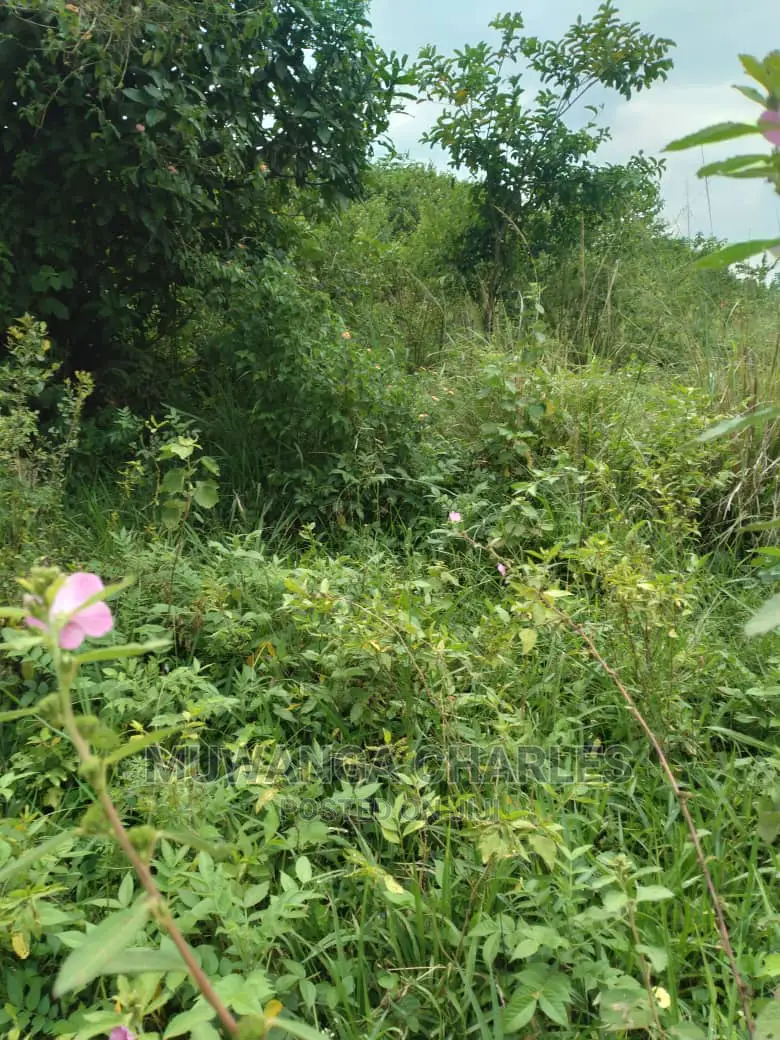 20acre's Is Available for Sale in Zirobwe in Luweero