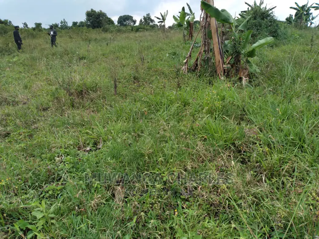 100acres Is Available for Sale in Luwero Kabunyata in Kamira
