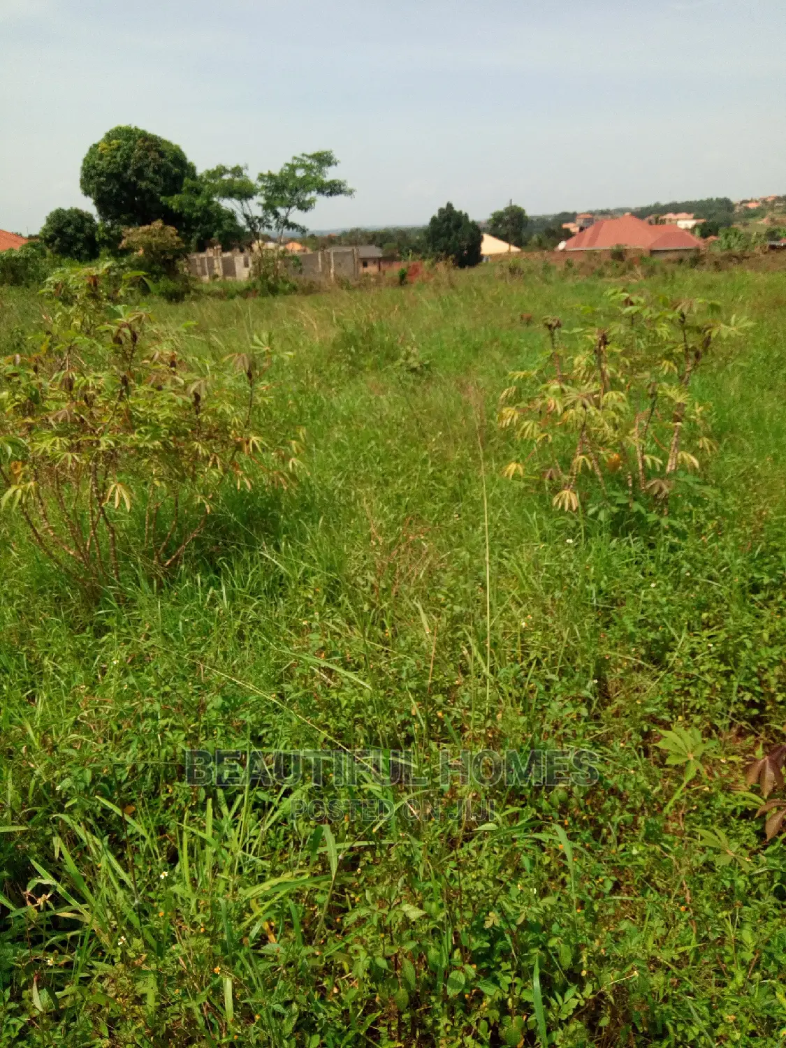 Kira Two Plots Near Tarmack on Quick Sell in Kampala