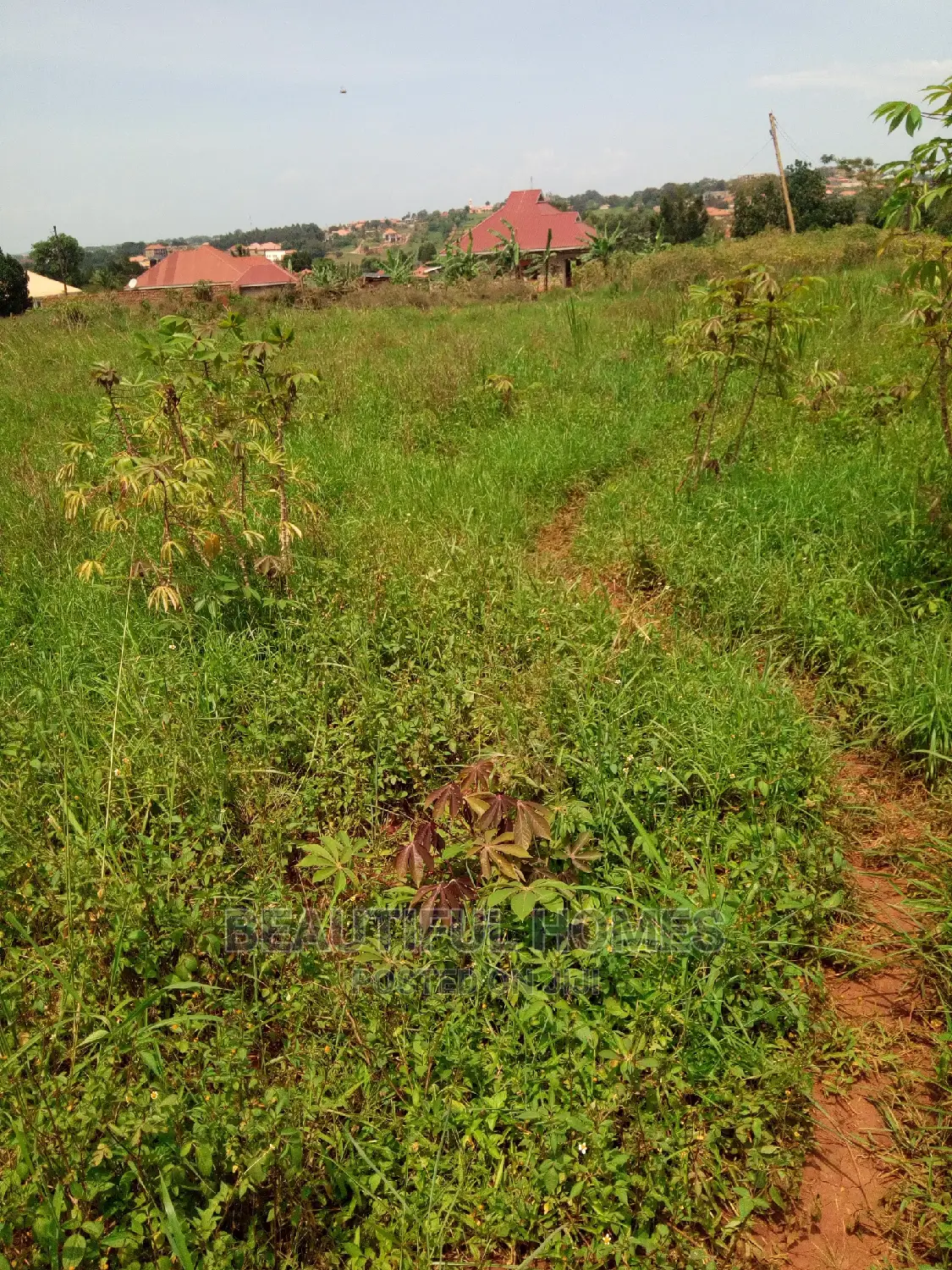 Kira Two Plots Near Tarmack on Quick Sell in Kampala