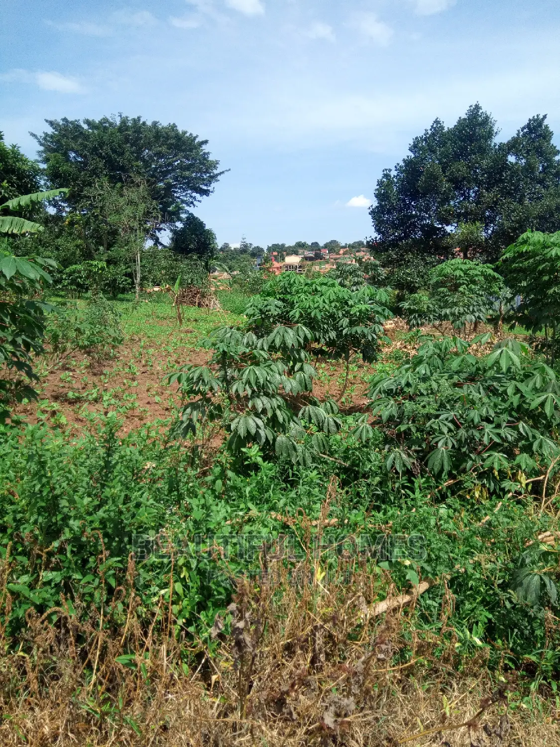 Kira Two Plots Near Tarmack on Quick Sell in Kampala
