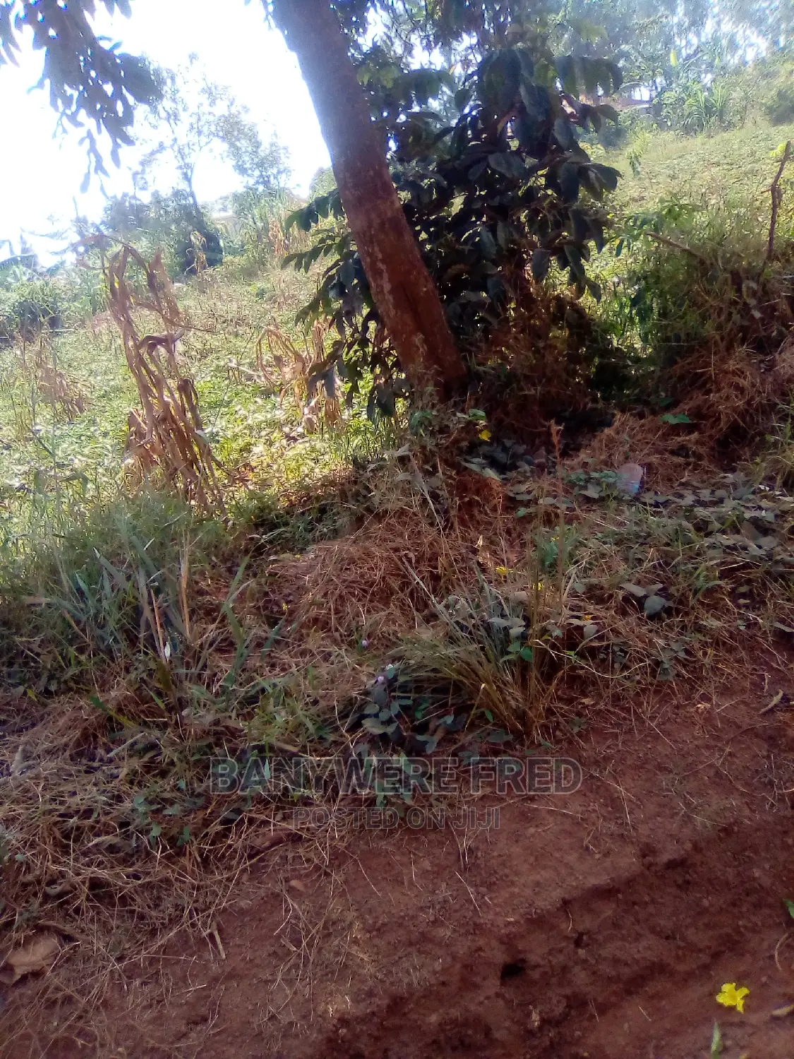 5acres in Nagoje Kasana Buikwe in Mukono