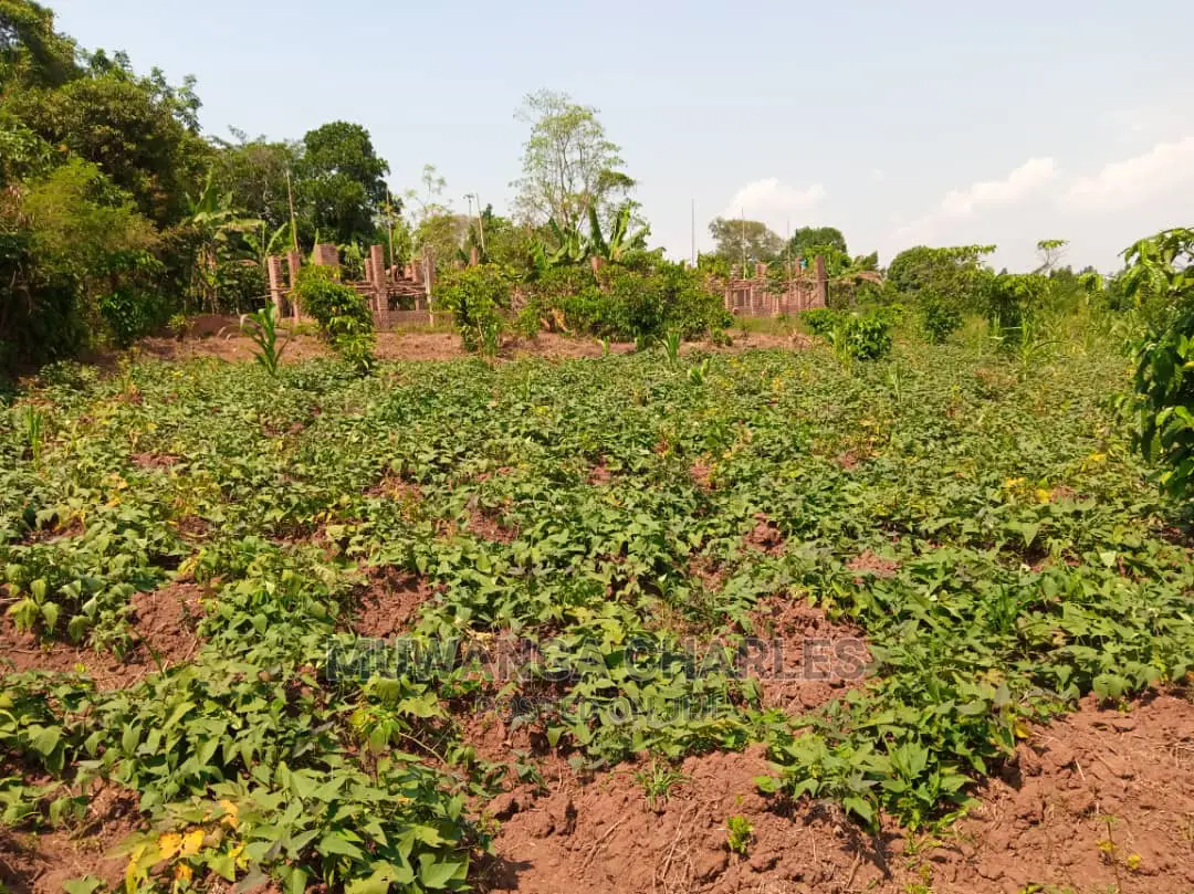 4acre's Is Available for Sale Mityana Road Muduma in Wakiso