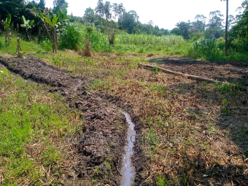 20acre's Is Available for Sale in Luwero Kakoge in Nakasongola TC