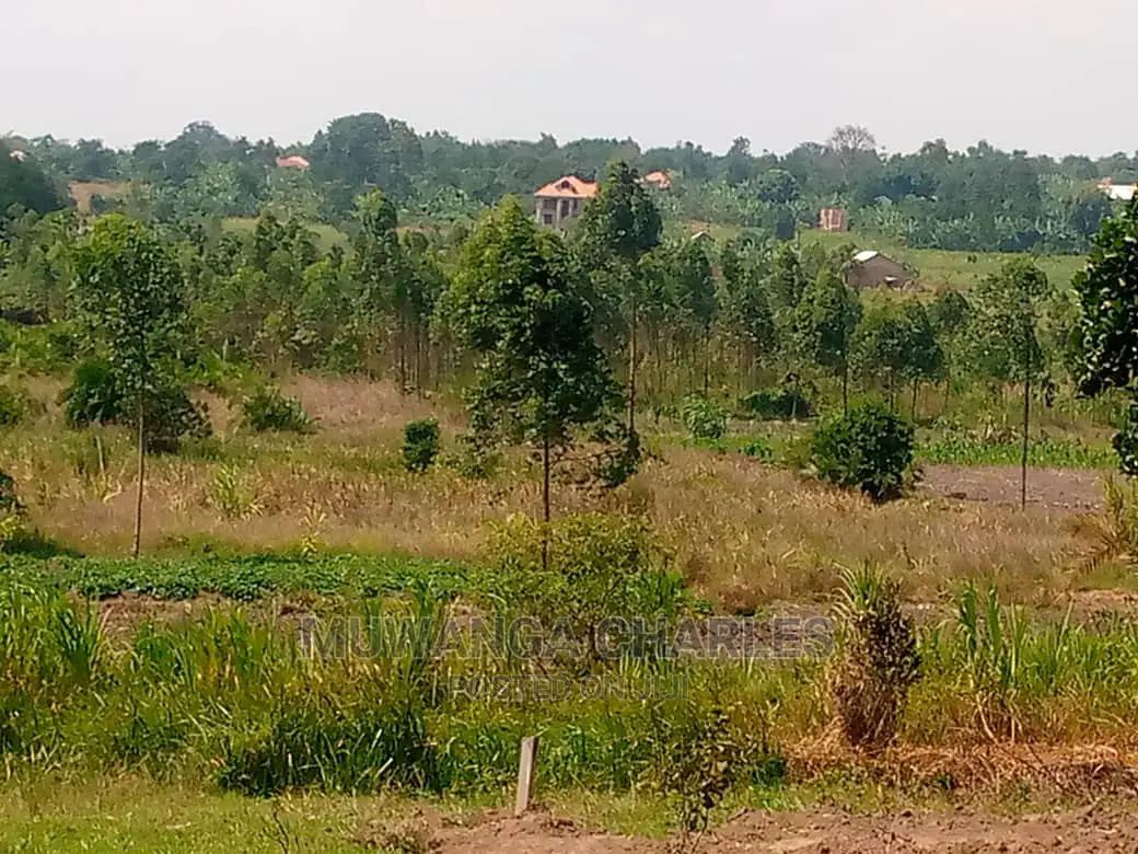20acre's Is Available for Sale in Luwero Kakoge in Nakasongola TC