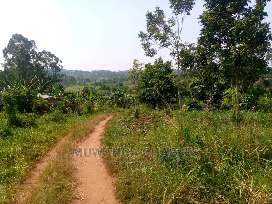 20acre's Is Available for Sale in Luwero Kakoge in Nakasongola TC