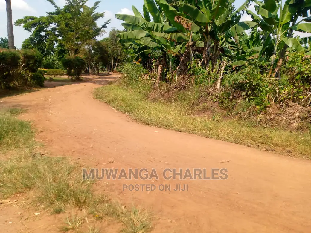 20acre's Is Available for Sale in Luwero Kakoge in Nakasongola TC