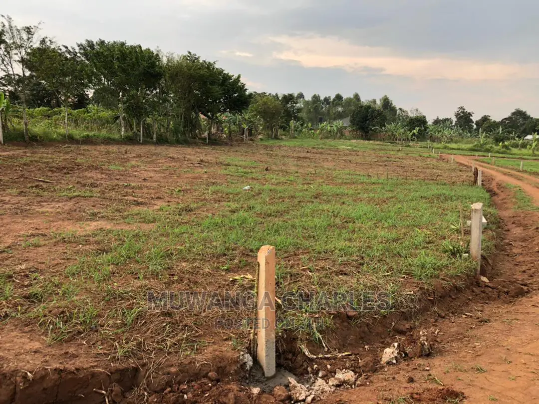 25decimals of Land Is for Sale in Buwate in Wakiso
