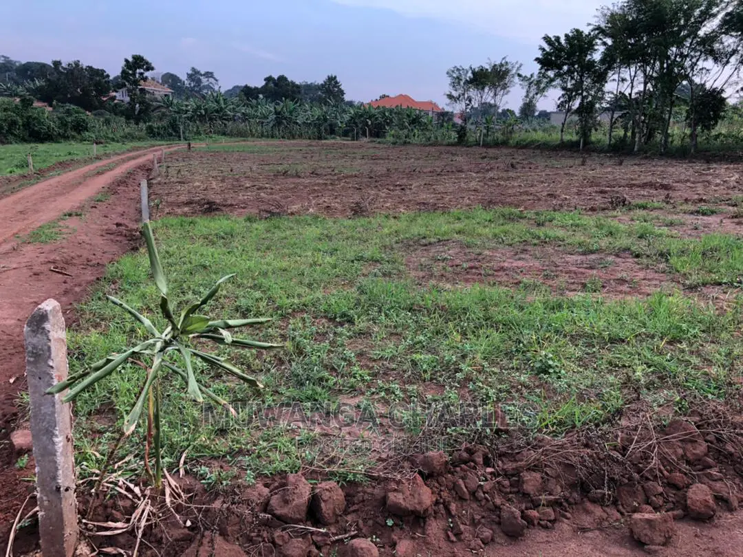 25decimals of Land Is for Sale in Buwate in Wakiso