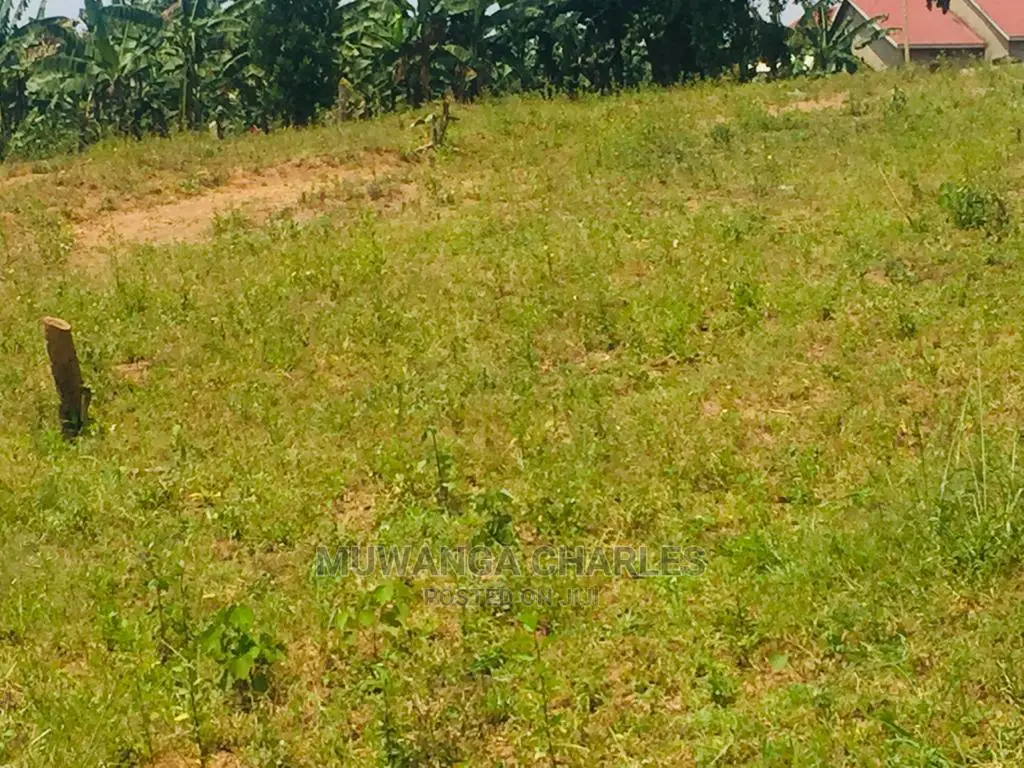 Plot Is for Sale in Wakiso in Wakiso