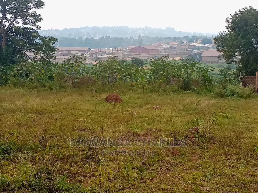Plot Is for Sale in Wakiso in Wakiso
