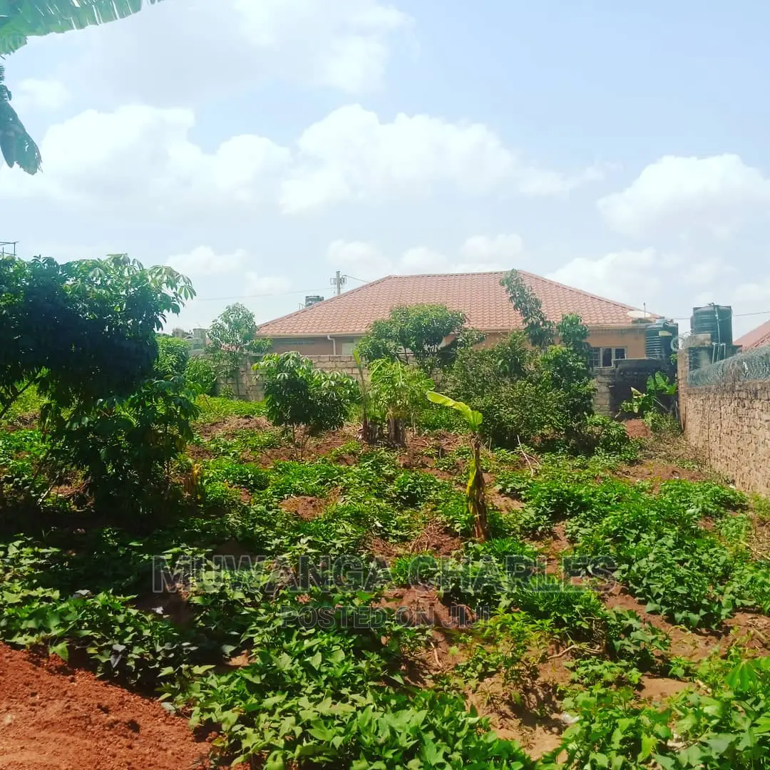 Plot Is for Sale in Kira in Kampala