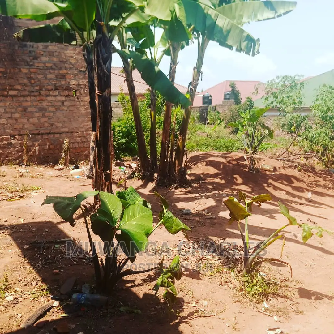 Plot Is for Sale in Kira in Kampala