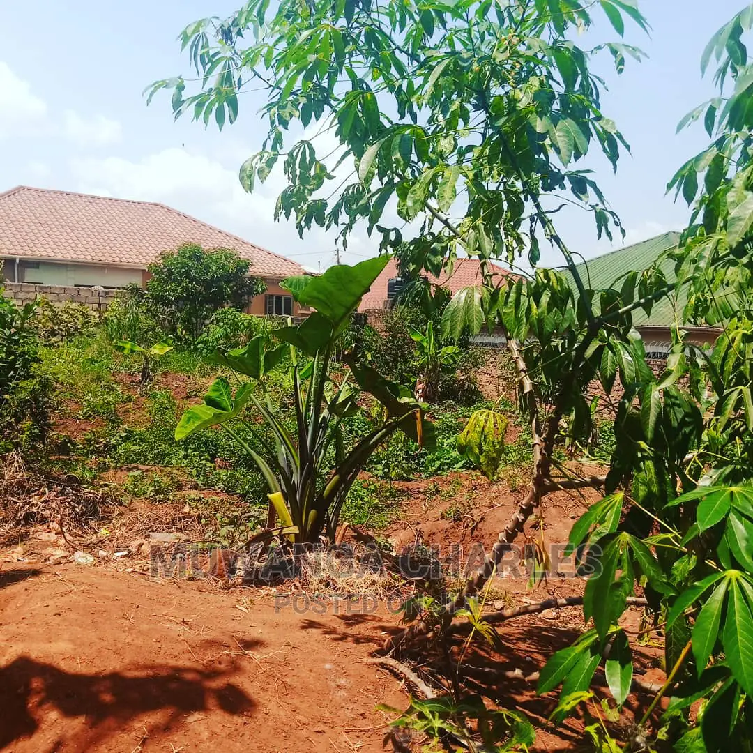 Plot Is for Sale in Kira in Kampala