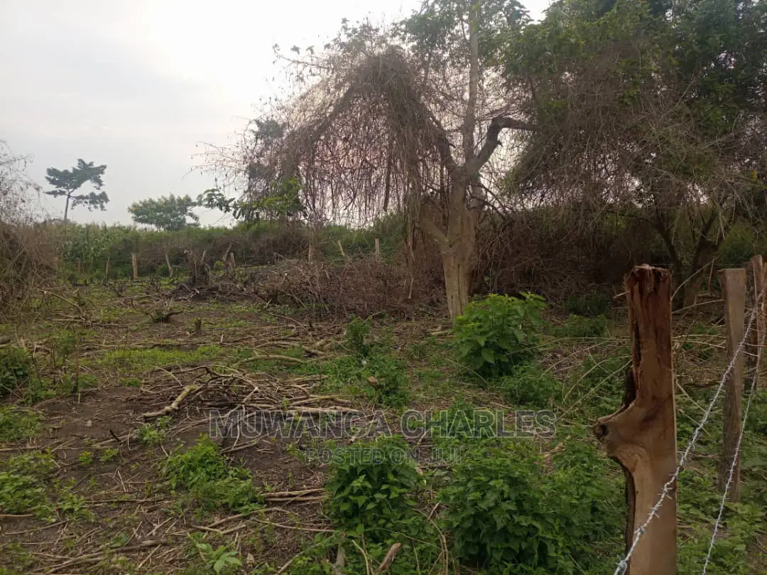 100acre's Is for Sale in Nakasongola in Wakiso