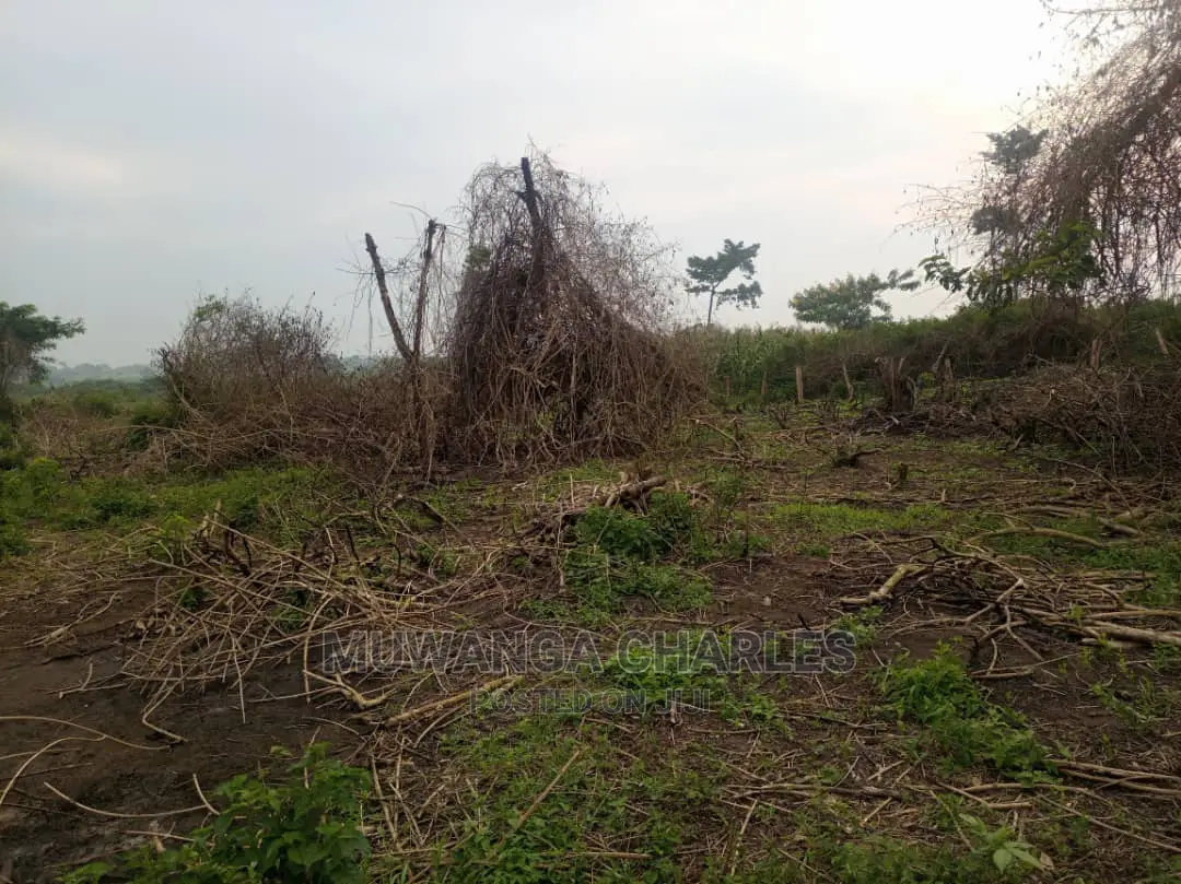 100acre's Is for Sale in Nakasongola in Wakiso