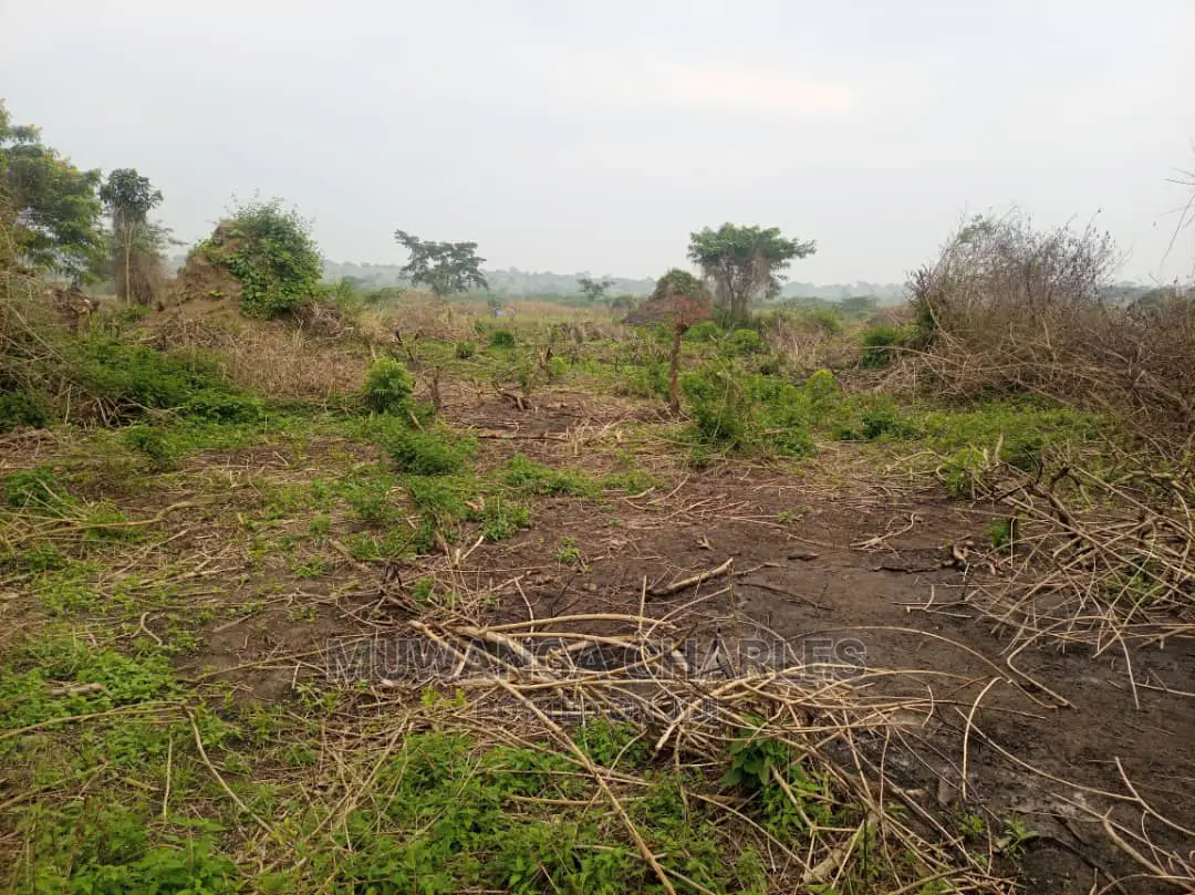 100acre's Is for Sale in Nakasongola in Wakiso