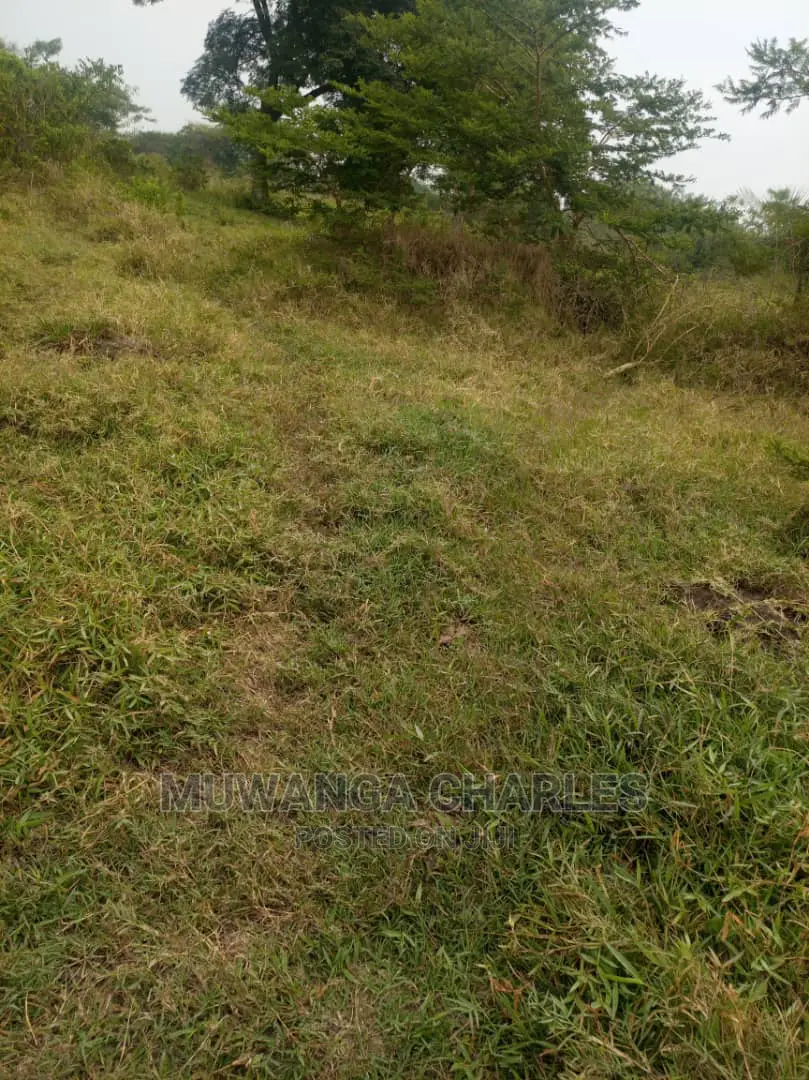 100acre's Is for Sale in Nakasongola in Wakiso