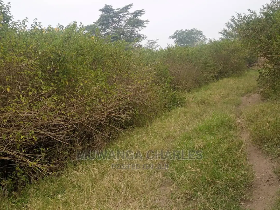 100acre's Is for Sale in Nakasongola in Wakiso