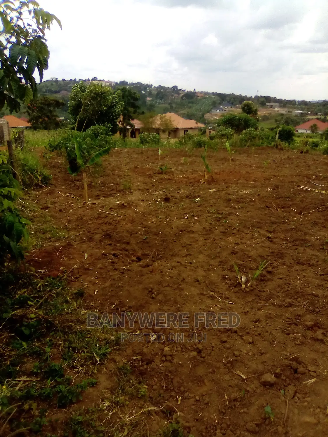100/100 Plot for Sale in Sonde Misidye in Mukono