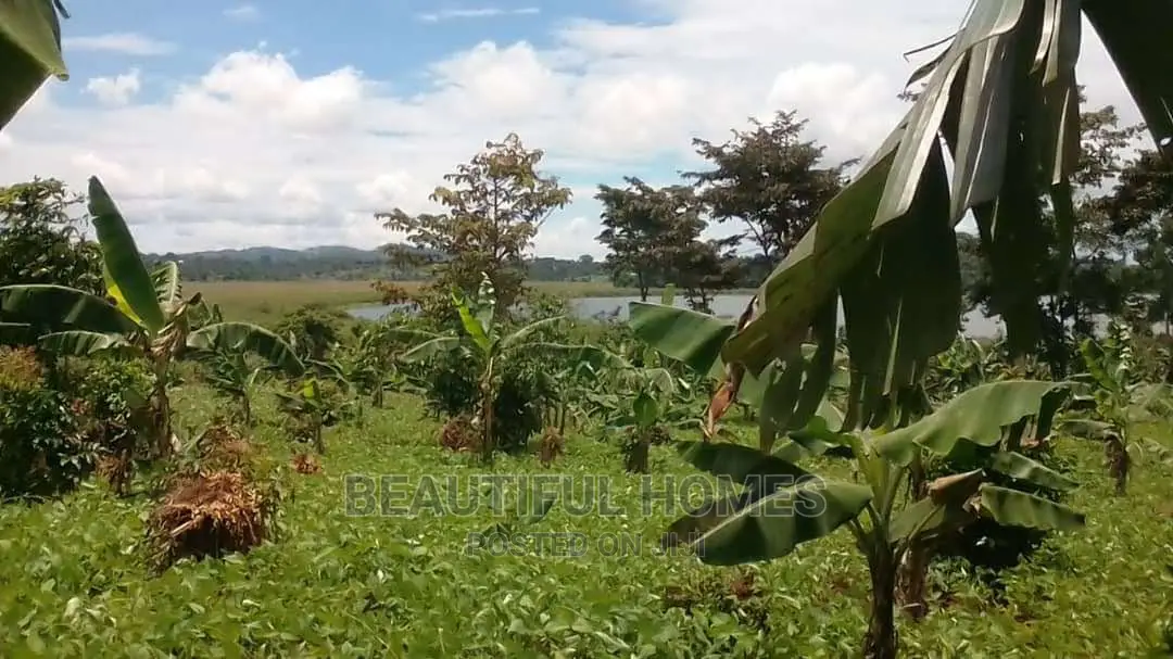 Kalangala Town 10 Aces of Beach Land on Sale in Kalangala