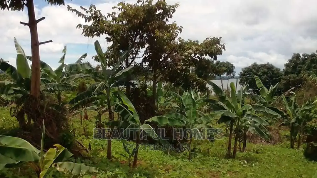 Kalangala Town 10 Aces of Beach Land on Sale in Kalangala