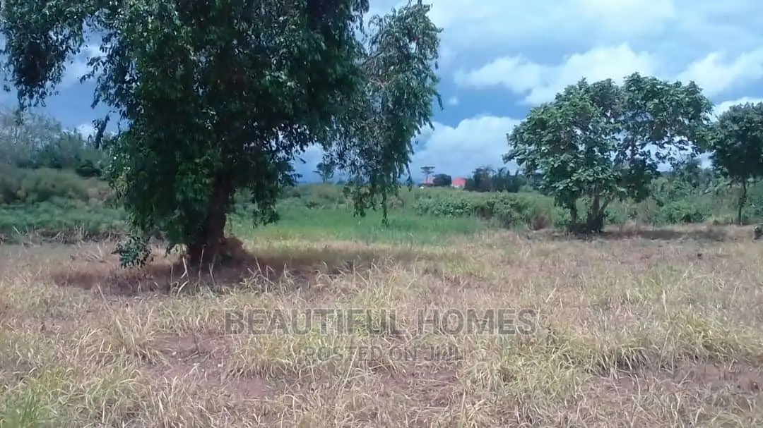Kalangala Town 10 Aces of Beach Land on Sale in Kalangala