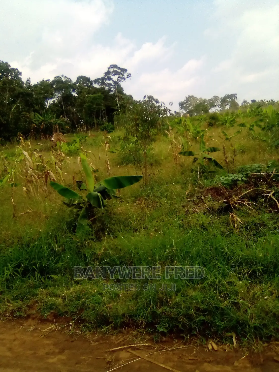 50/100 Plot for Sale in Nagalama Mukono in Mukono