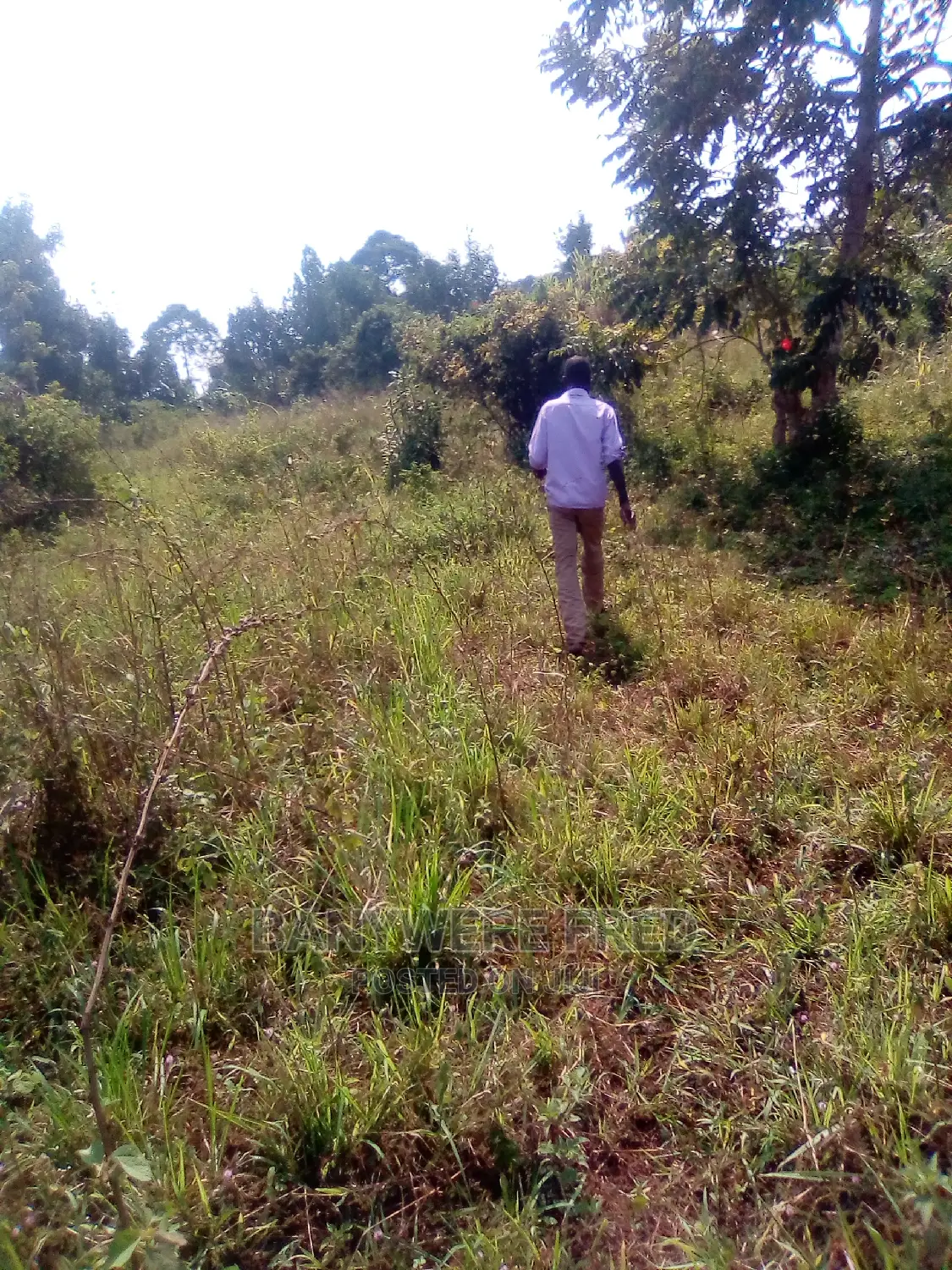 7acres for Sale in Nakifuma Luwayo in Mukono