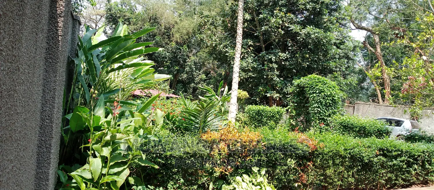 4bdrm House in Fs Properties Ltd, Kampala for Rent in Kampala