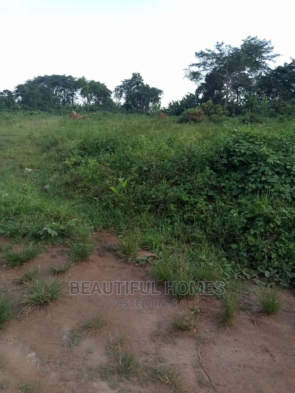 Gayaza Two Empty Plots Near the Road on Sell in Kampala