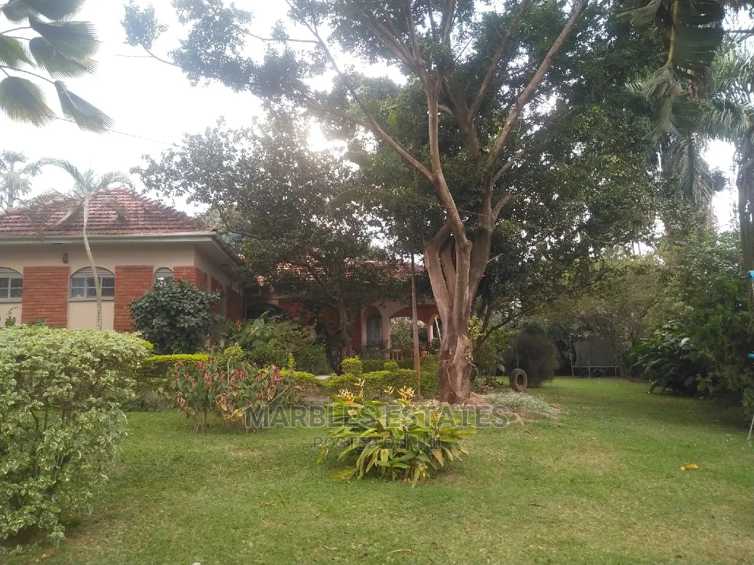 4bdrm Bungalow in Naguru, Central Division for Rent in Central Division