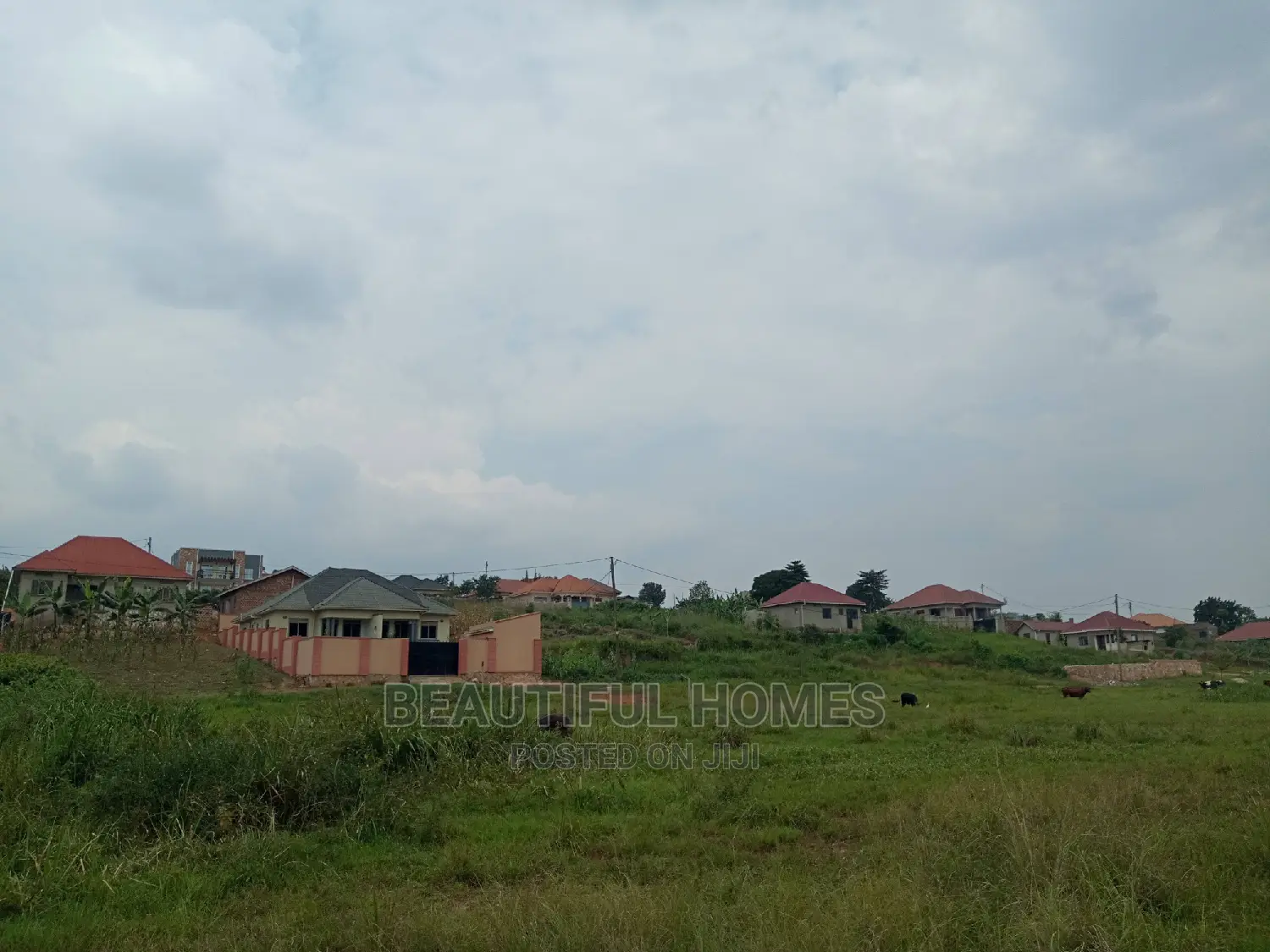 Kira Two Plots Near Tarmack for Sell in Kampala