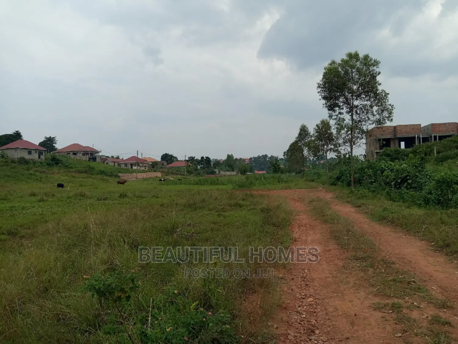 Kira Two Plots Near Tarmack for Sell in Kampala