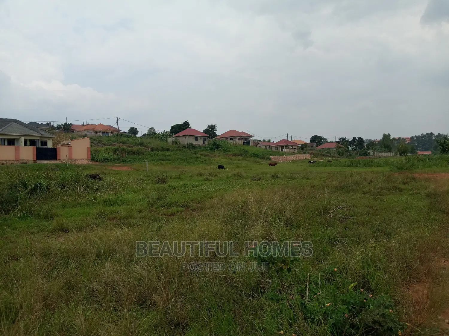 Kira Two Plots Near Tarmack for Sell in Kampala