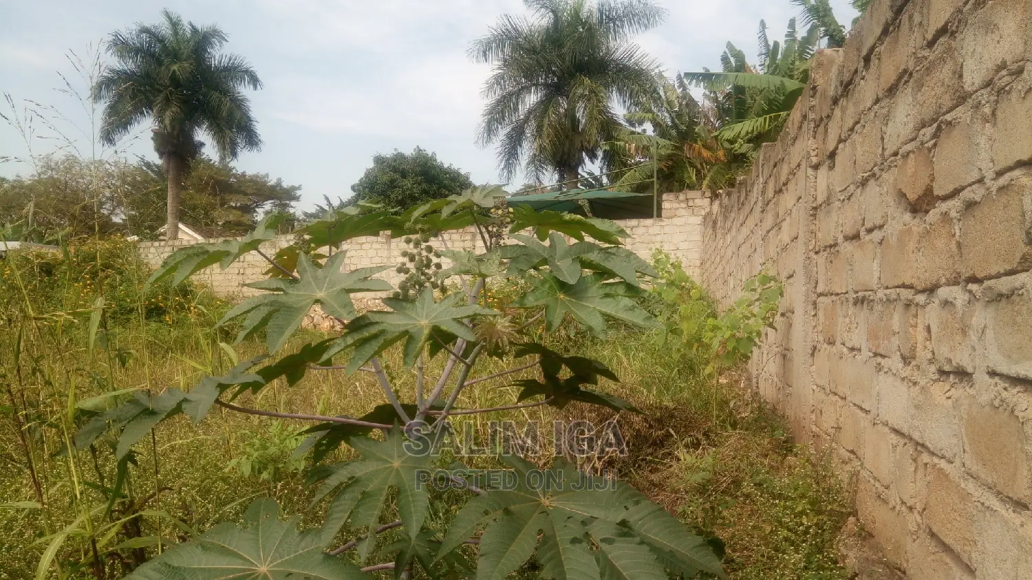Plot on Market in Kampala