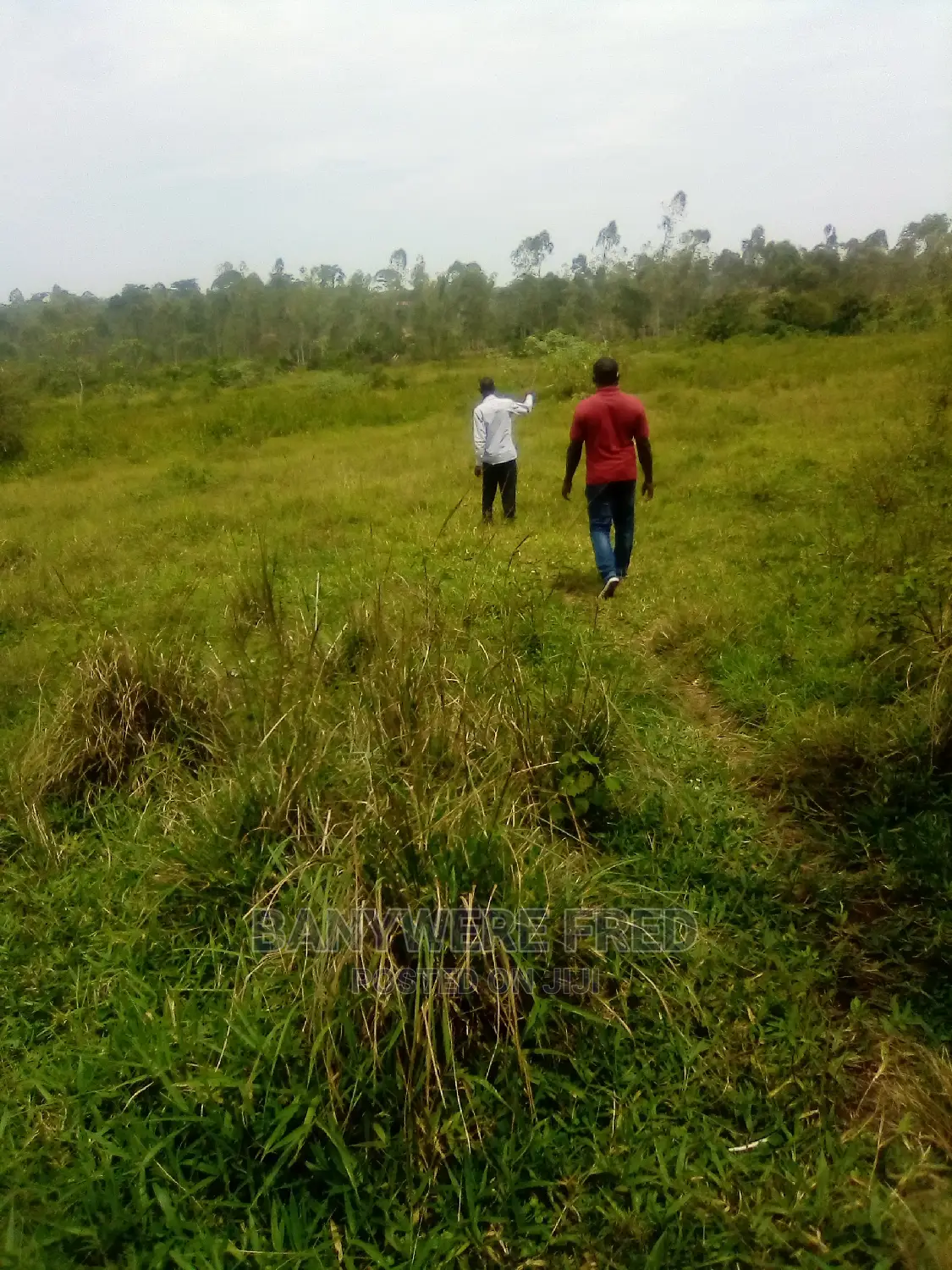 5acres in Lugazi Kiyindi Road in Mukono