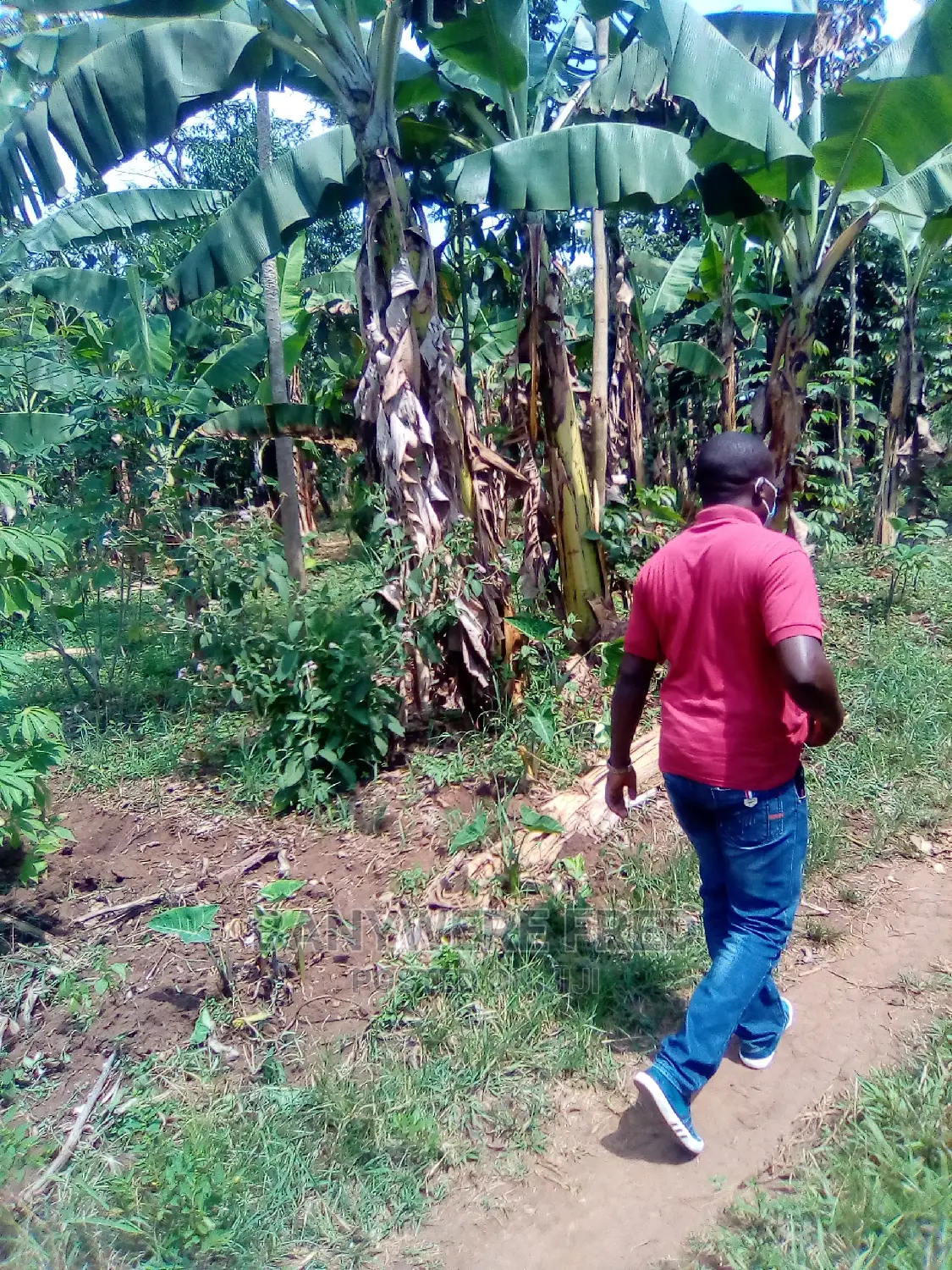 50/100 Plot on Sale in Buwante in Mukono