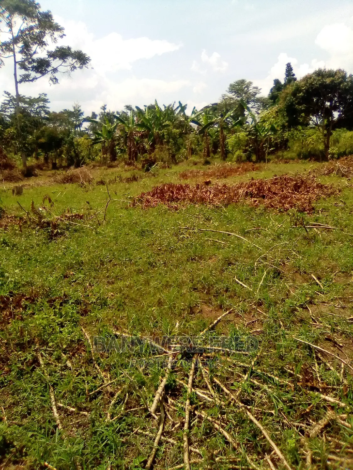 6acres of Land for Sale at Najja 1km From Luganzi Town in Mukono