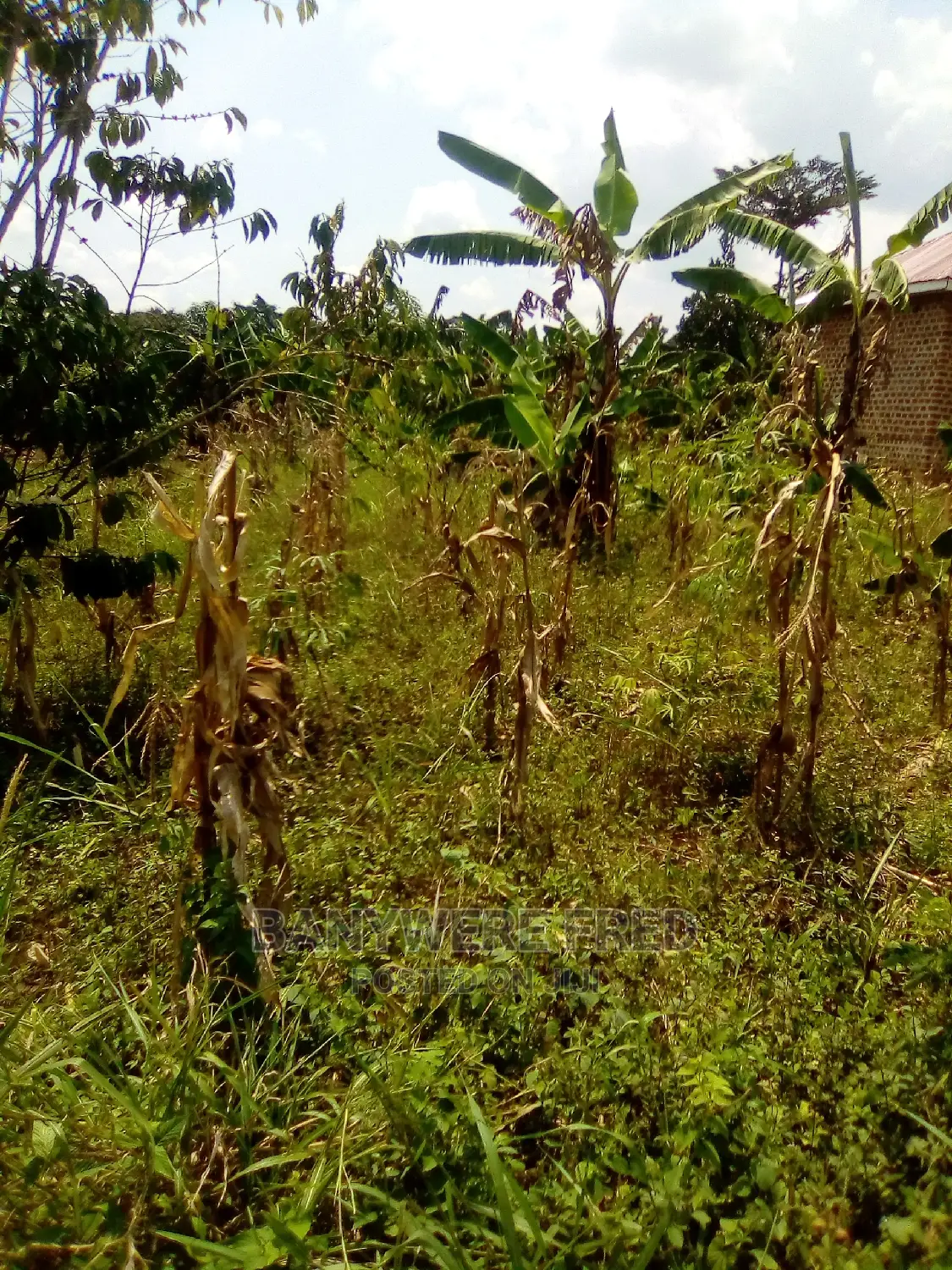 100x50ft for Sale at Namere in Mukono