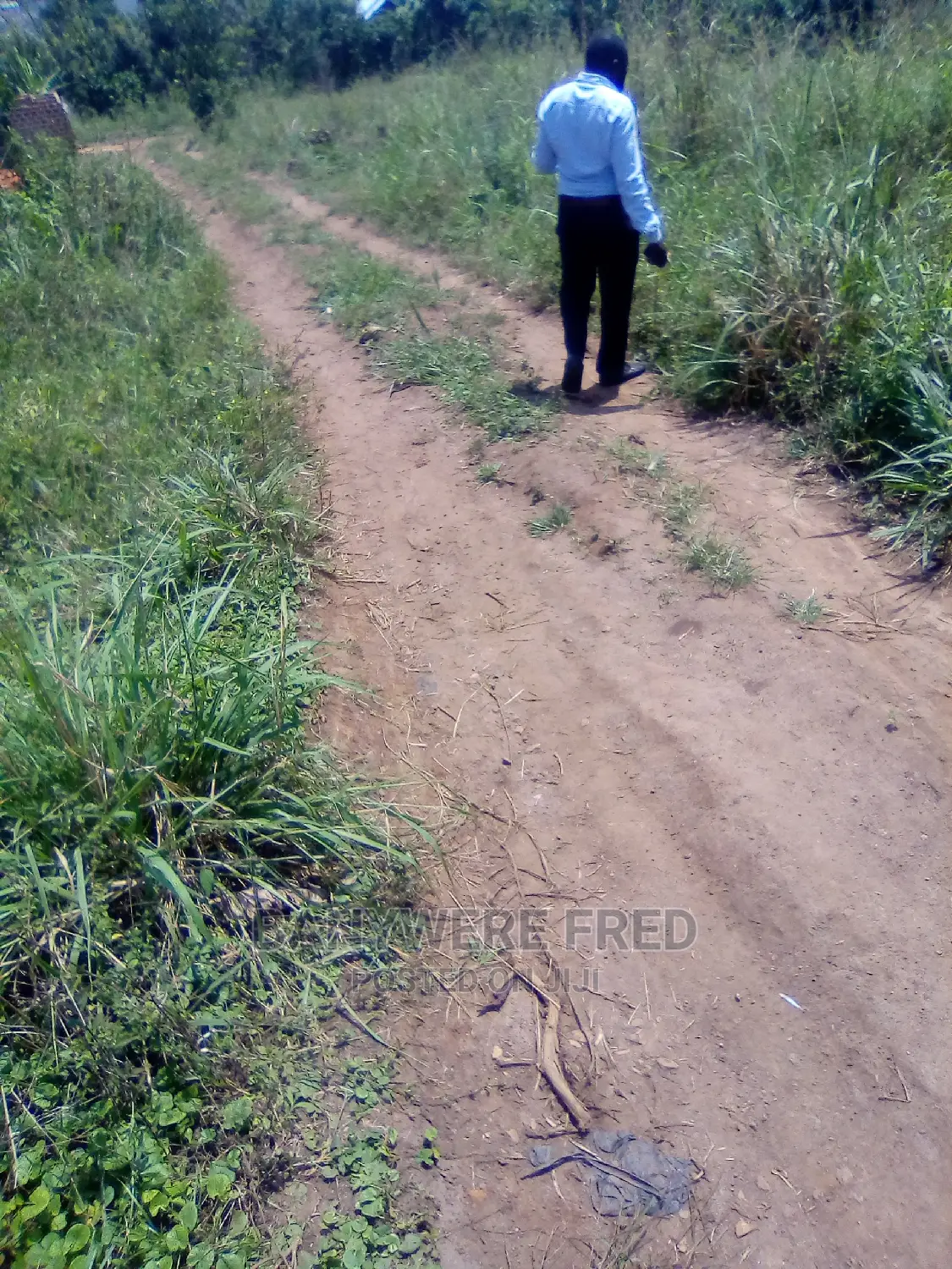 50x100ft for Sale With Aready Title at Kabembe in Mukono