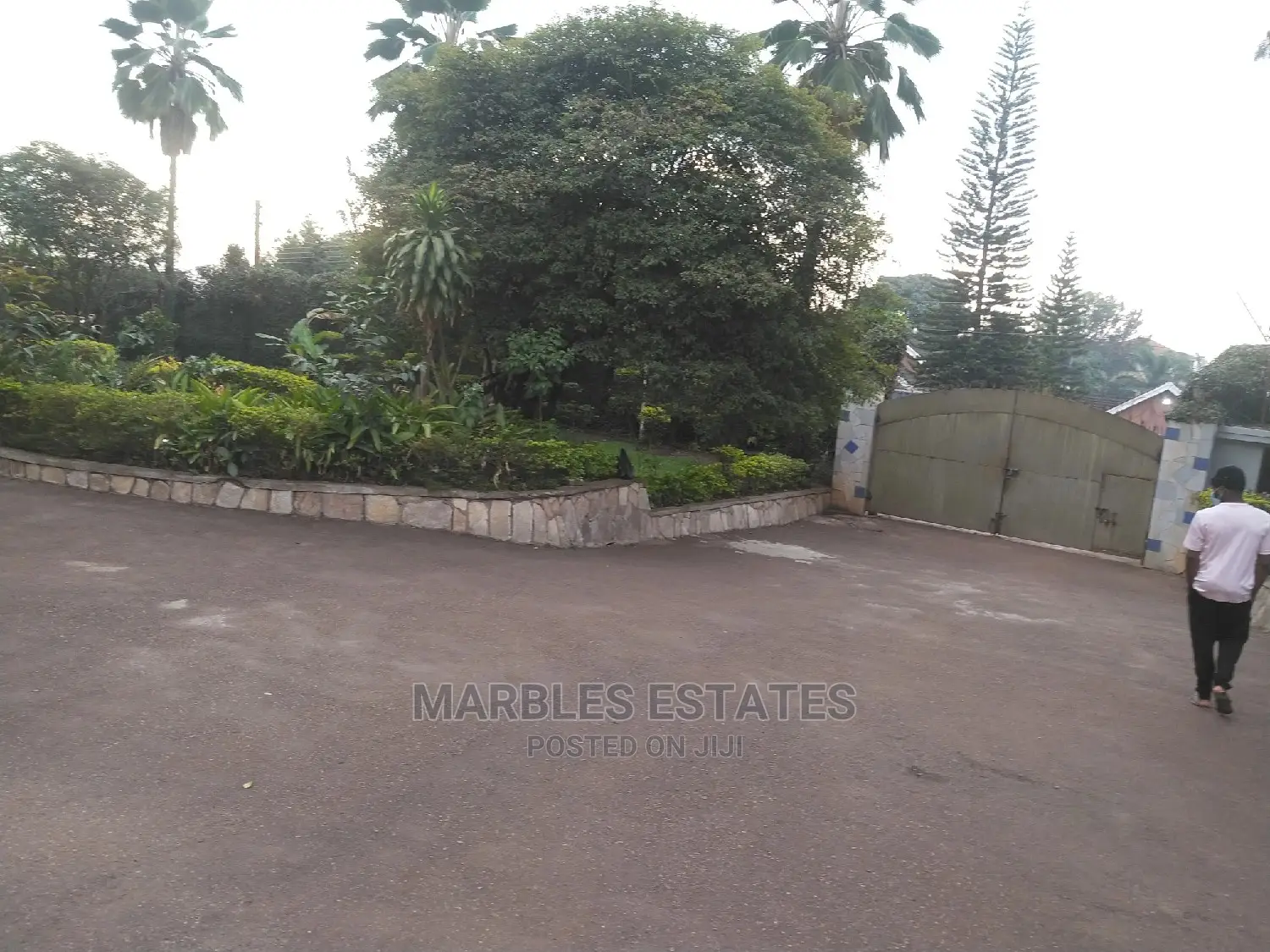 5bdrm House in Kololo, Central Division for rent in Central Division