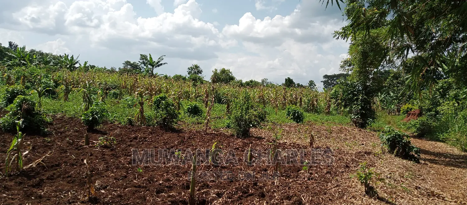 4acres of Land Is for Sale in Zirobwe in Kampala