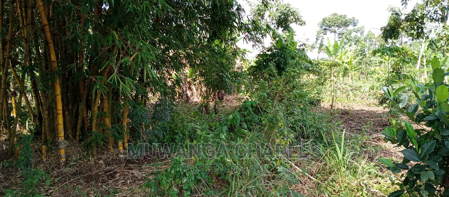4acres of Land Is for Sale in Zirobwe in Kampala