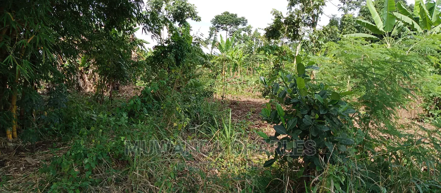 4acres of Land Is for Sale in Zirobwe in Kampala